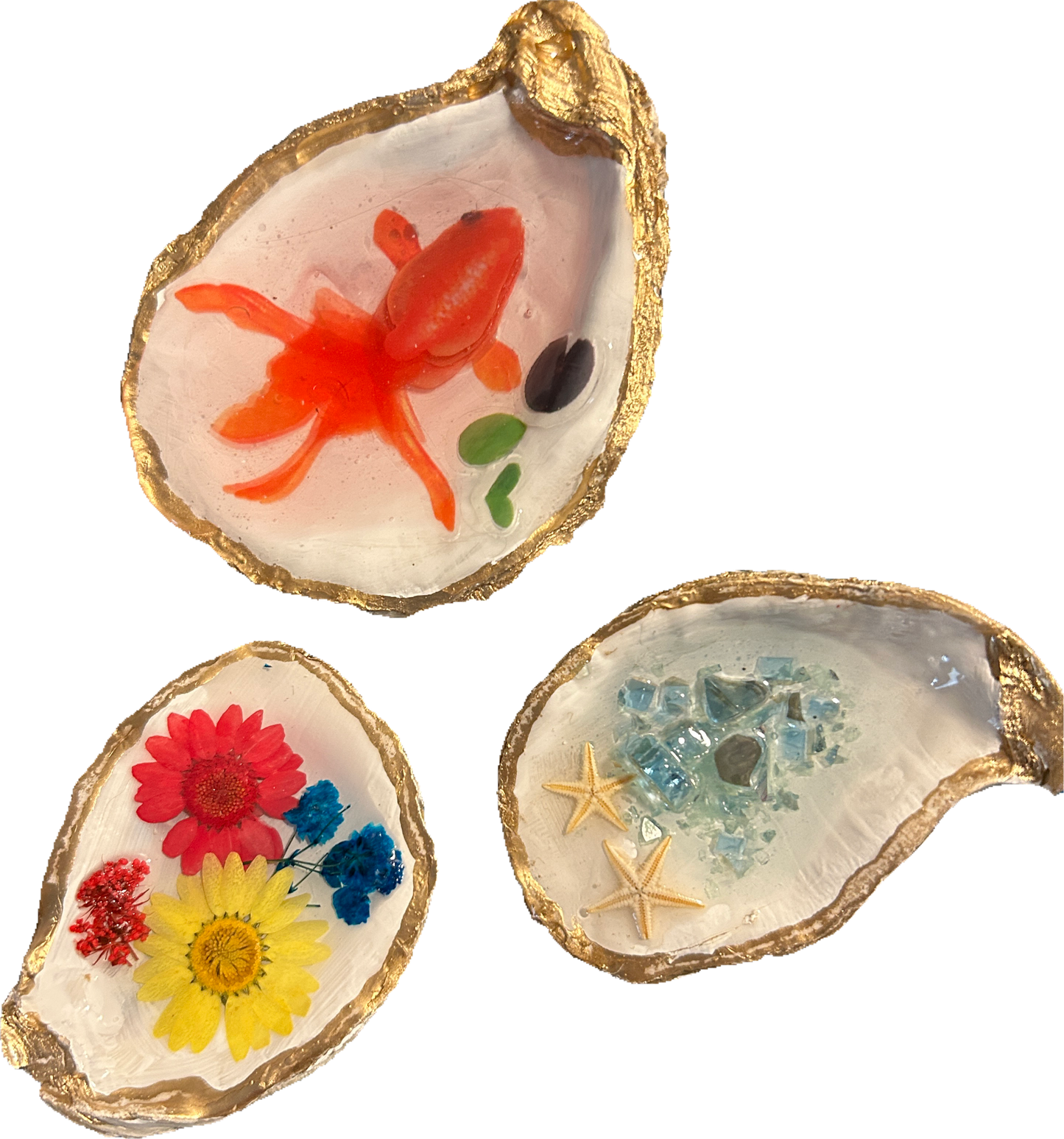 Assorted Oyster Shell Trinket Tray Craft Kit