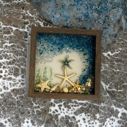 β Shimmering Starfish Crushed Glass Kit β