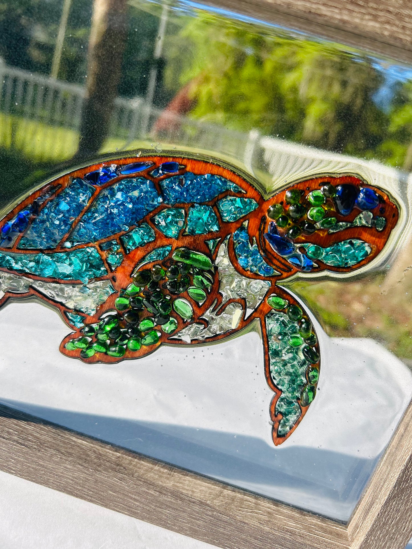 π Sunlit Sea Turtle