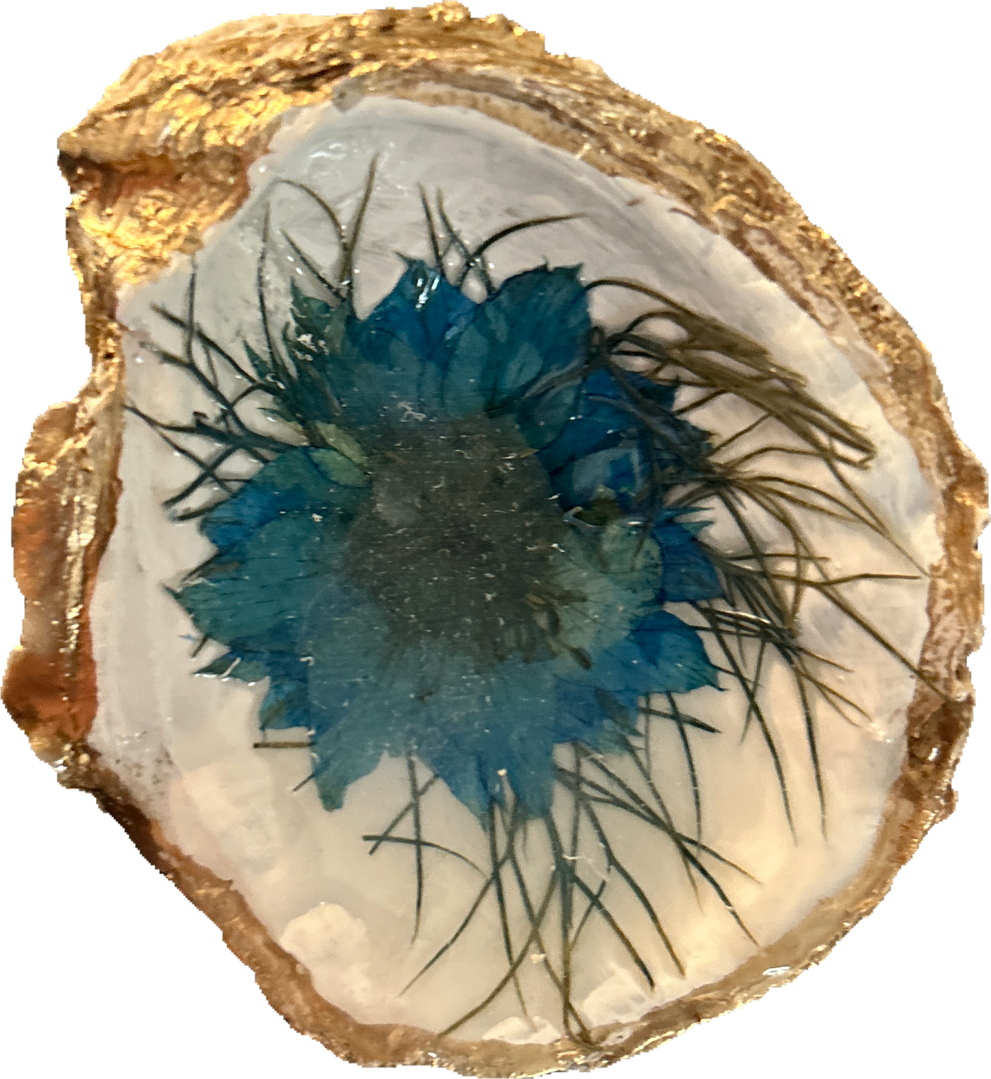 Flower Oyster Shell Trinket Tray Craft Kit