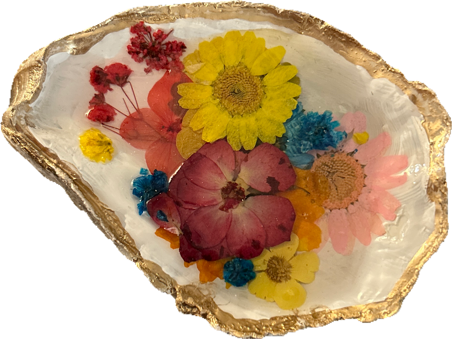 Assorted Oyster Shell Trinket Tray Craft Kit