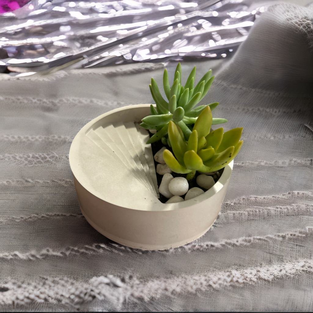 Succulent Planter with Succulents Craft Kit