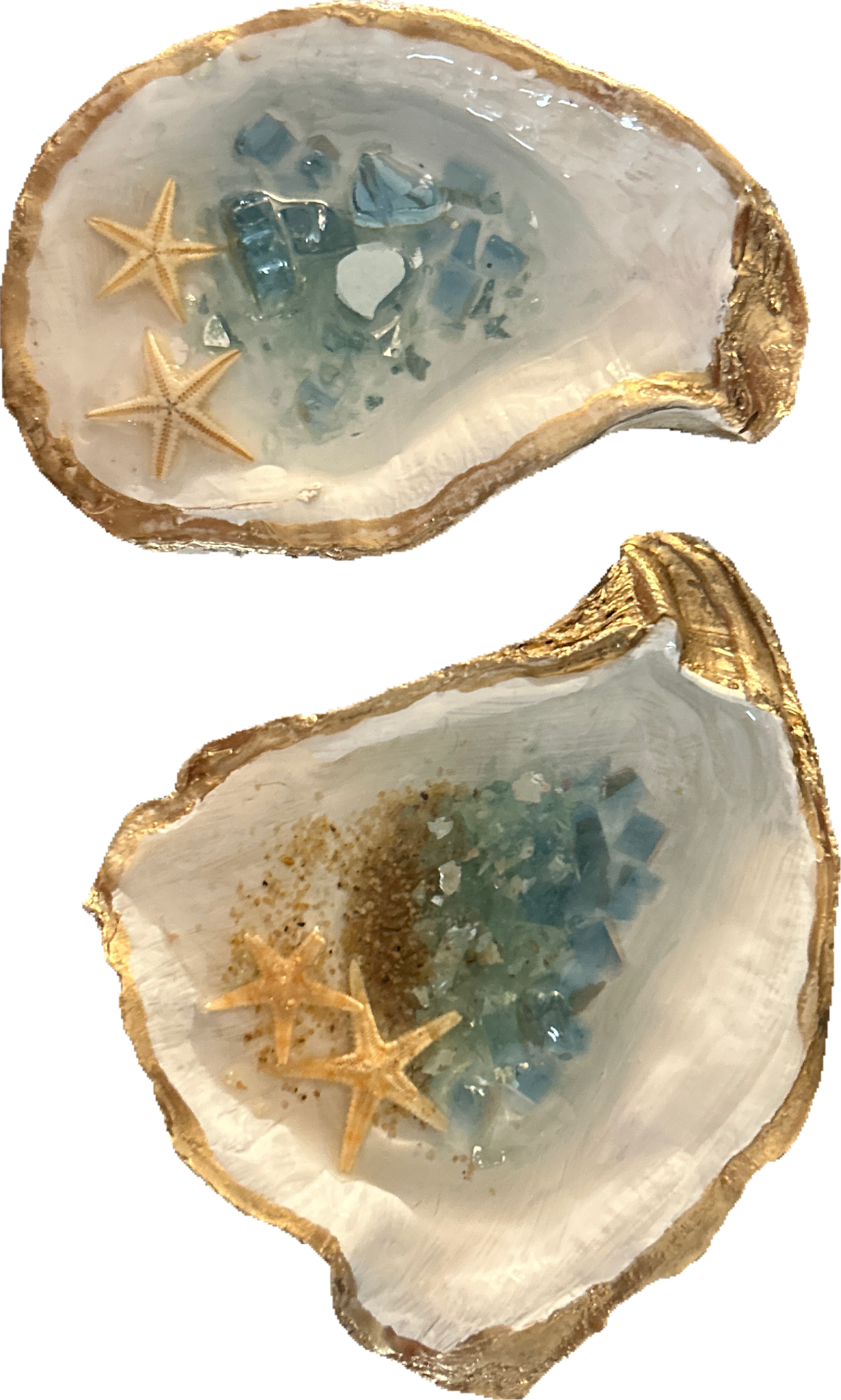 Beach Oyster Shell Trinket Dish Craft Kit