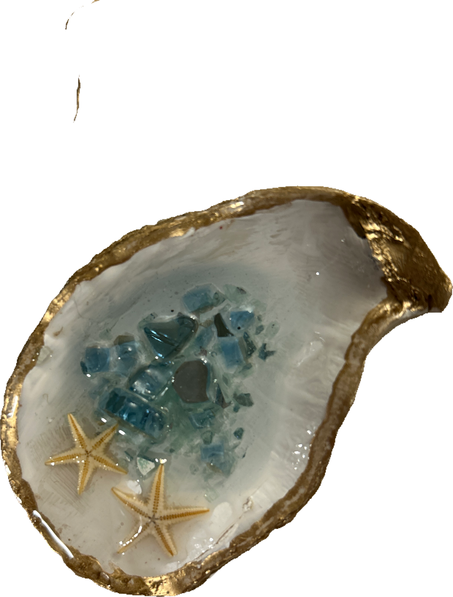 Beach Oyster Shell Trinket Dish Craft Kit