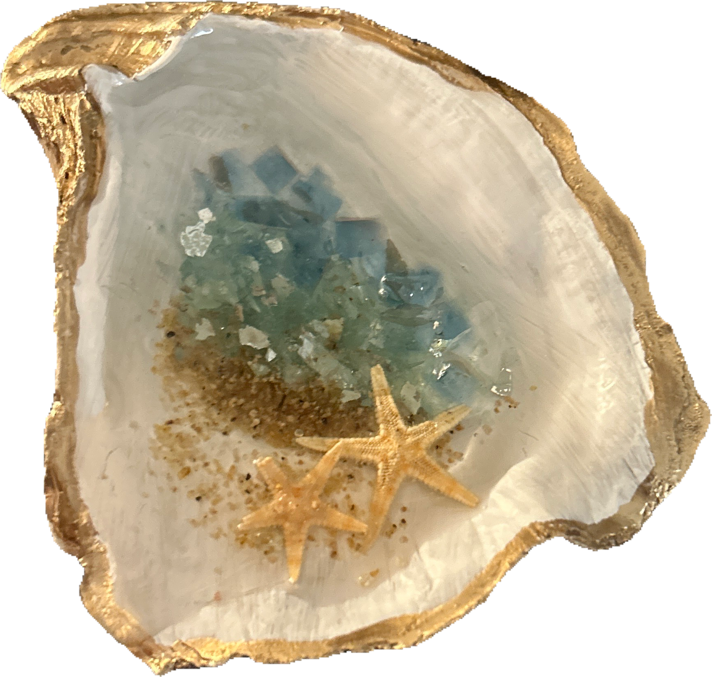 Beach Oyster Shell Trinket Dish Craft Kit