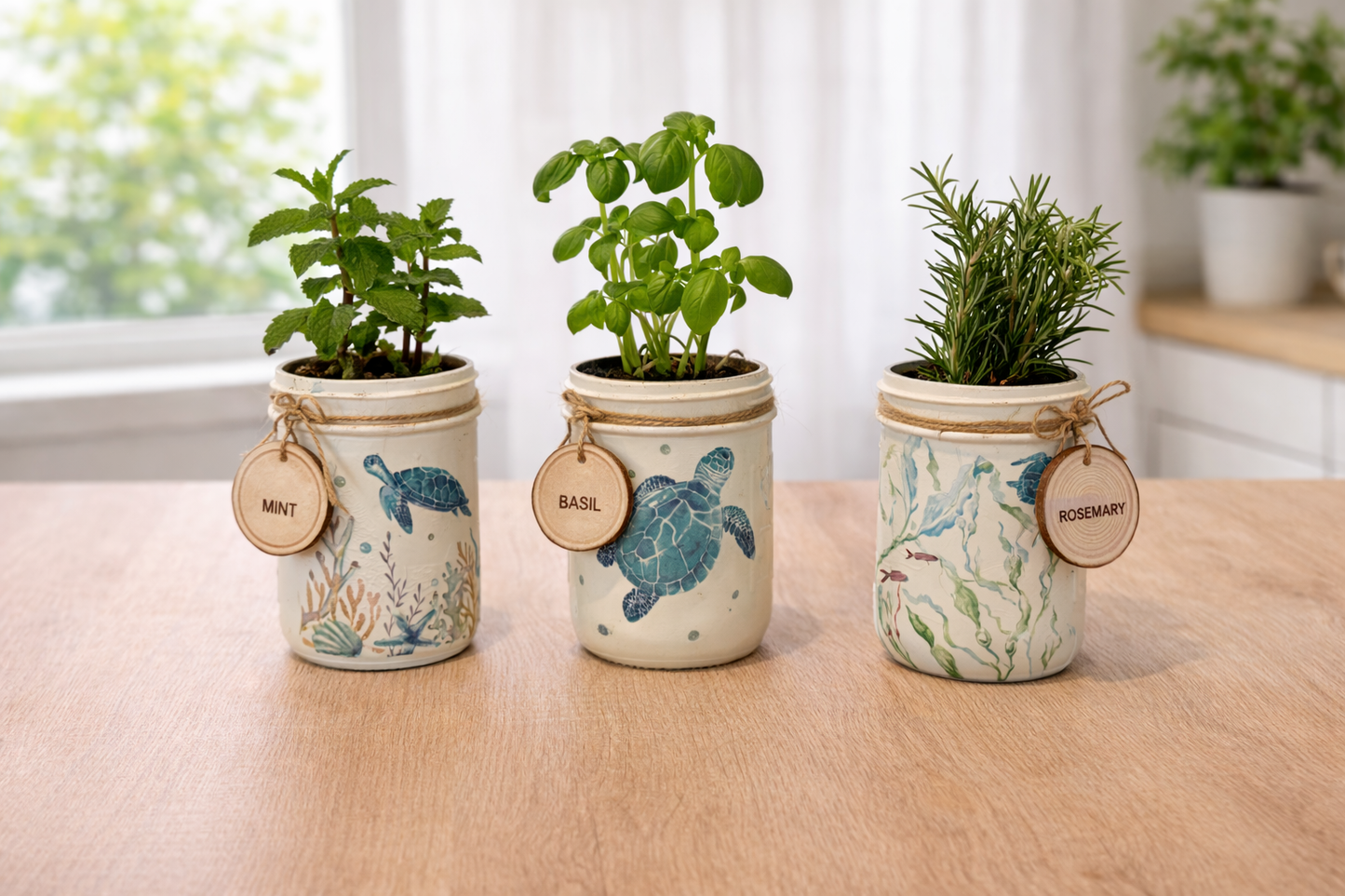 Herb Garden Workshop Coconut Barrel 3/26