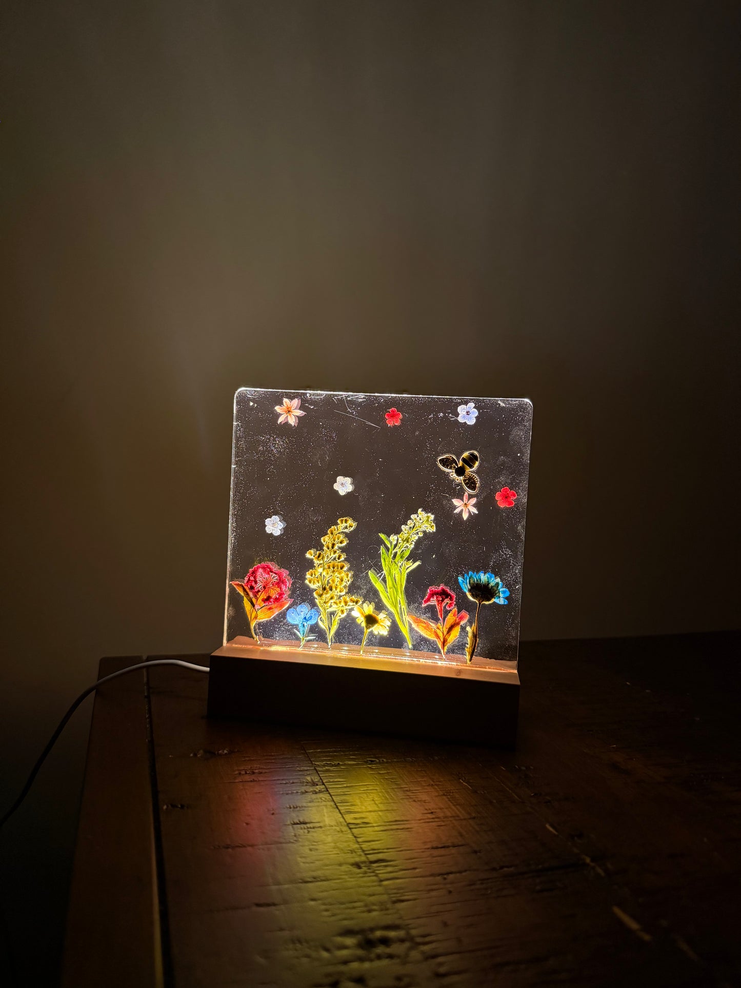 UV Resin Light Thurs Jan 22nd Palm Valley Community Center 7-8:30 pm