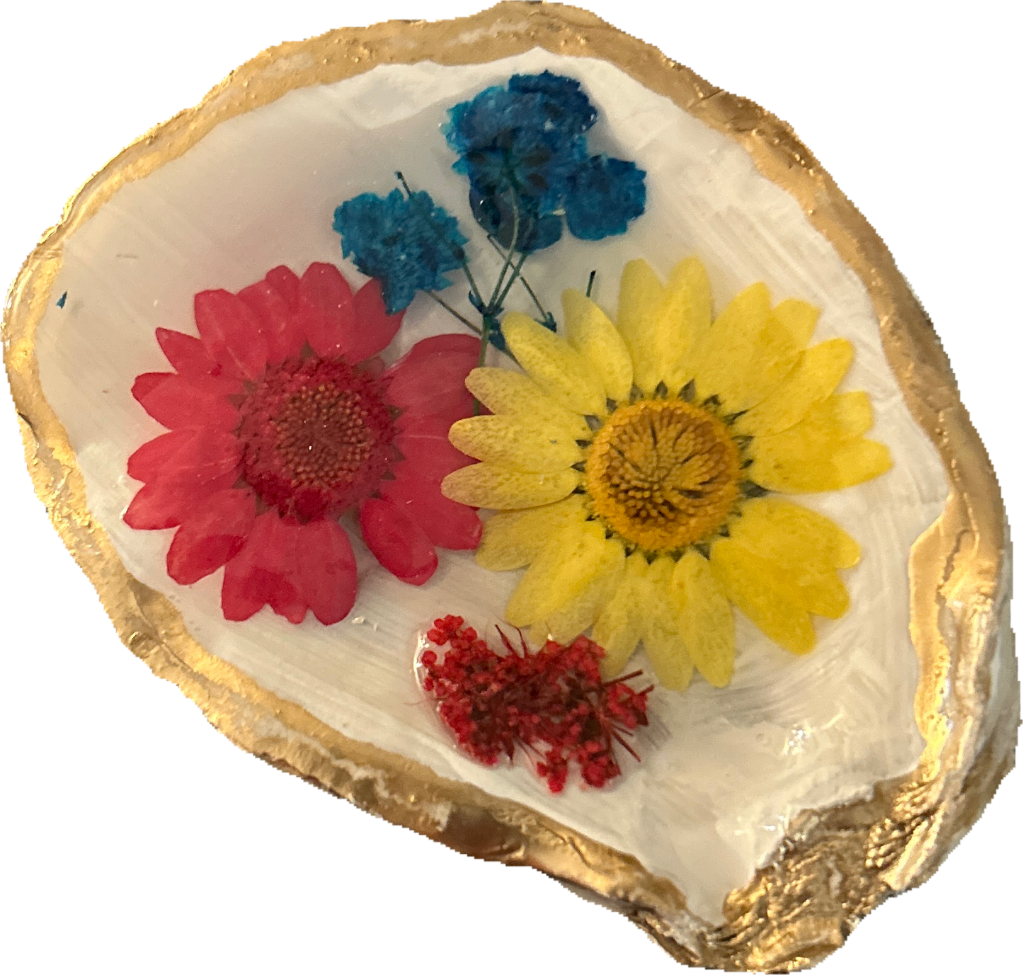 Flower Oyster Shell Trinket Tray Craft Kit