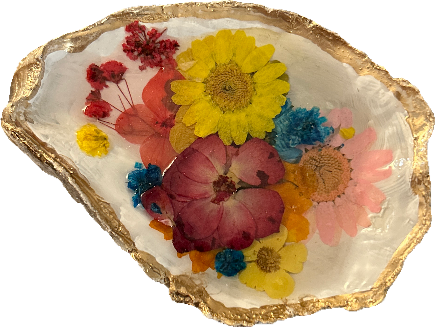 Flower Oyster Shell Trinket Tray Craft Kit